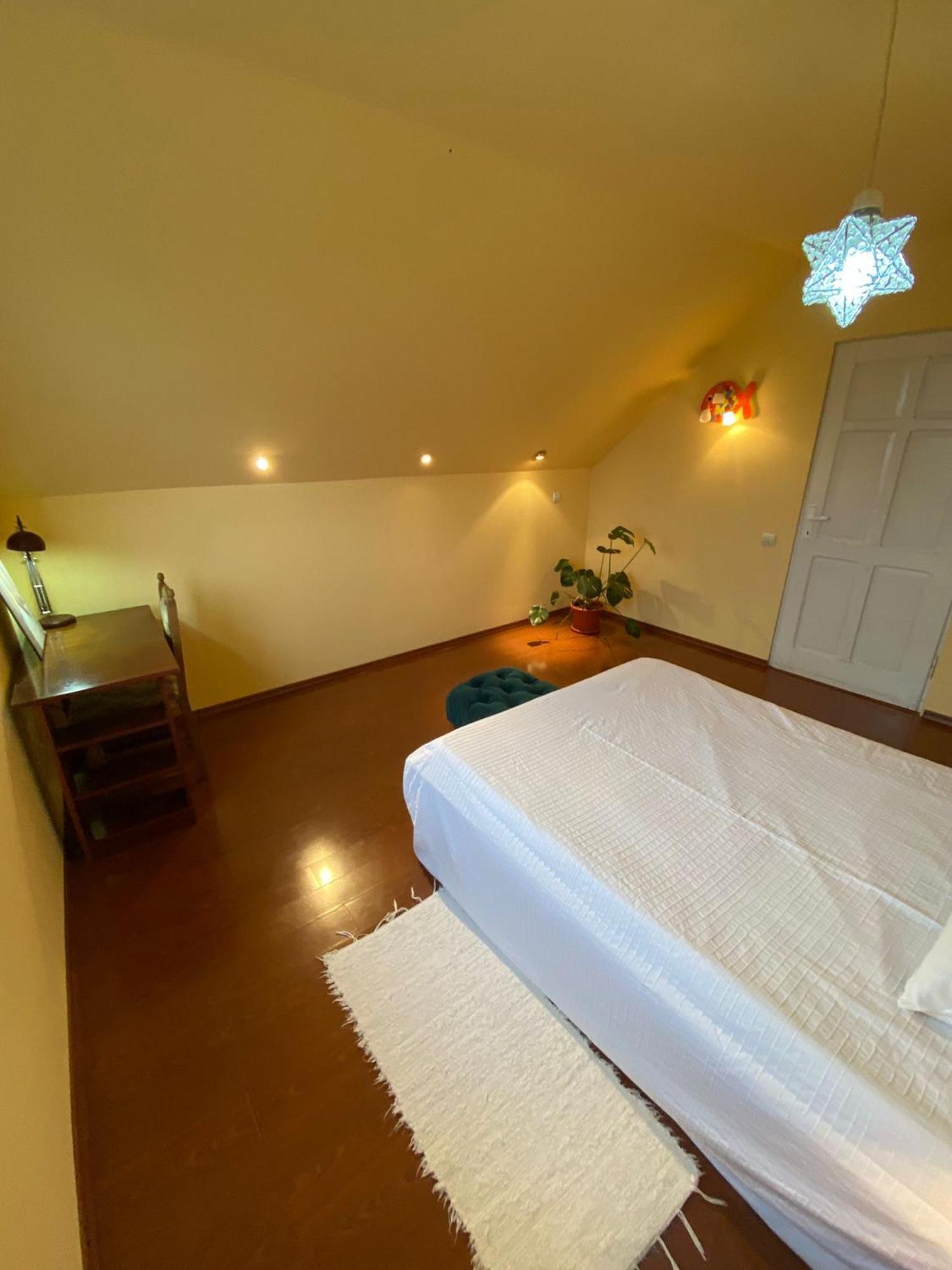 Turnu Măgurele Cosy Bedroom For 2 With Balcony In A Family Villa מראה חיצוני תמונה