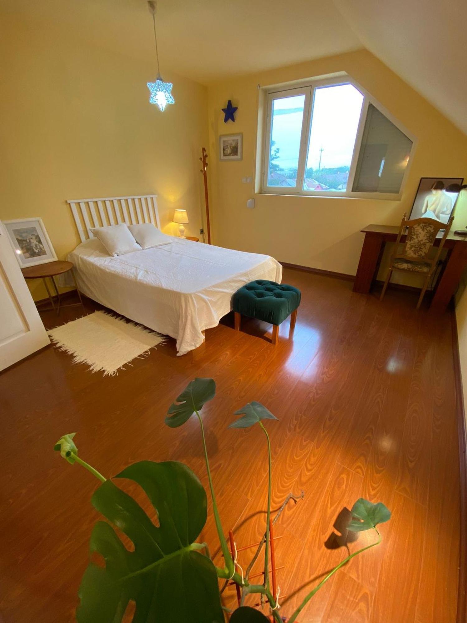 Turnu Măgurele Cosy Bedroom For 2 With Balcony In A Family Villa מראה חיצוני תמונה